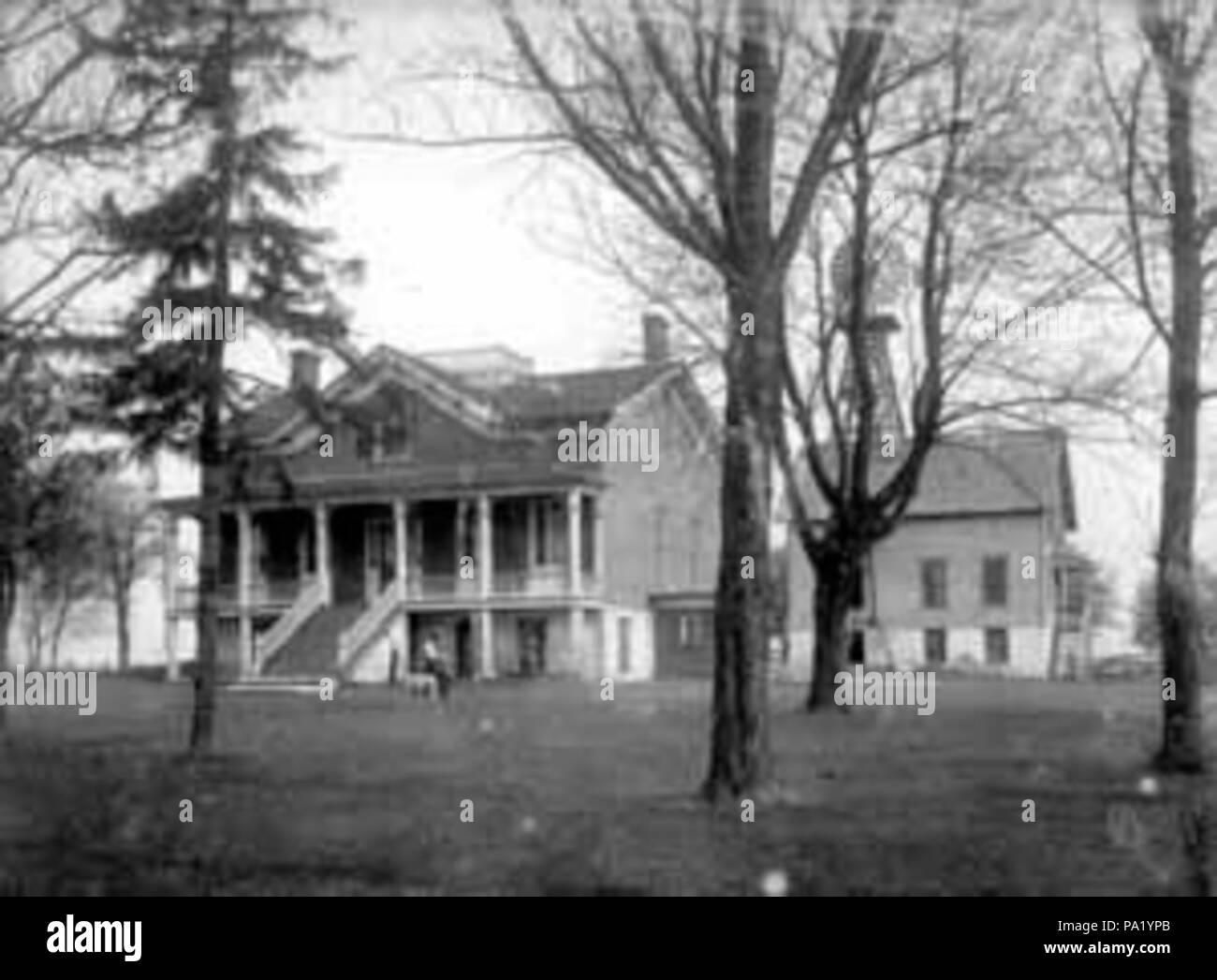 The 1900 house
