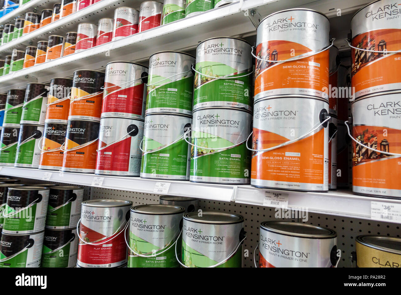 Gallon of paint online