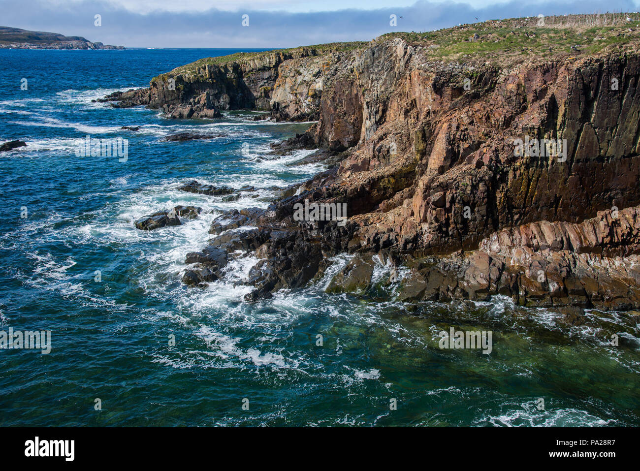 Coastline scenery of Newfoundland Stock Photo - Alamy