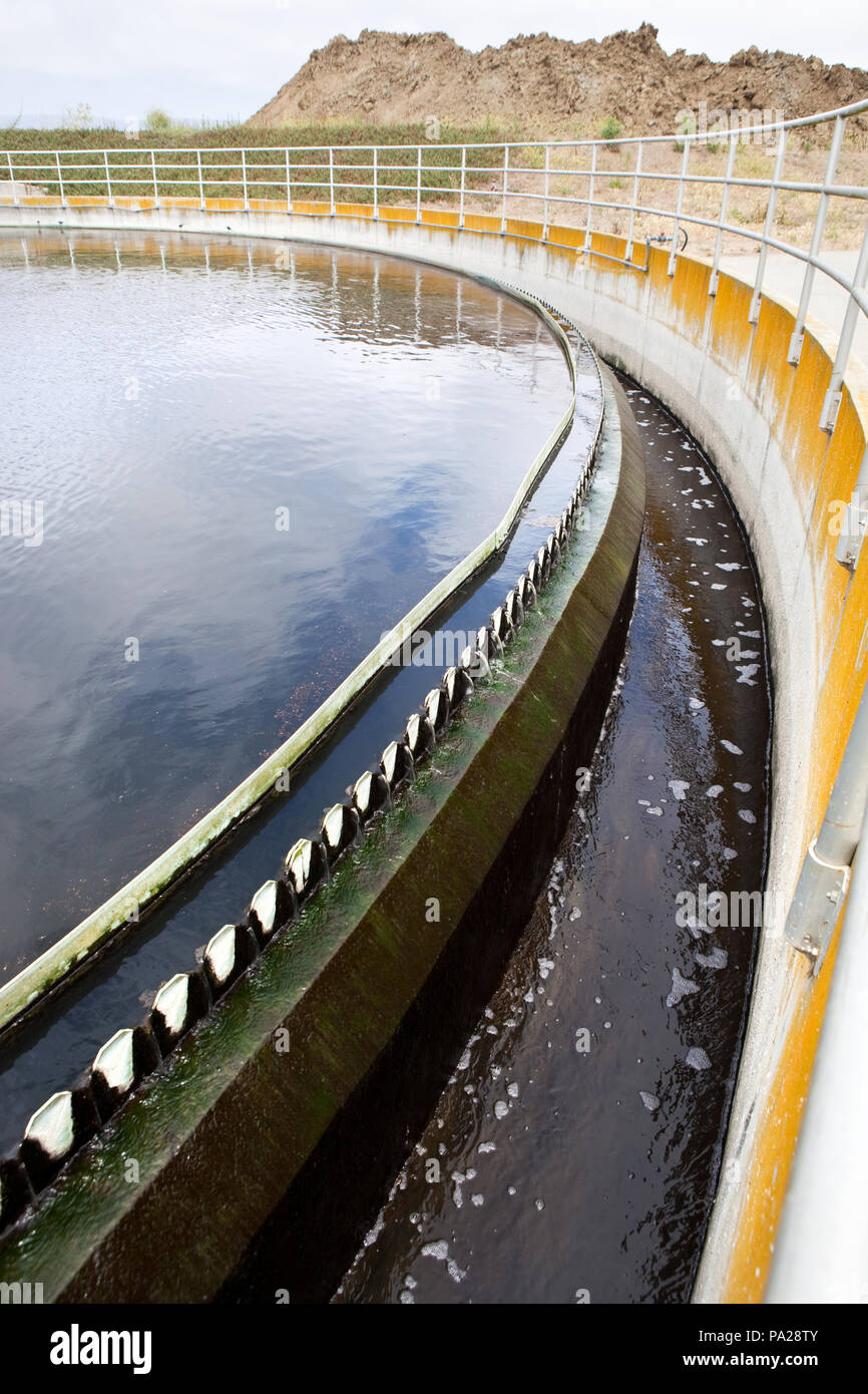 Treated wastewater flows over weirs in a wastewater treatment plant clarifier, while bacteria