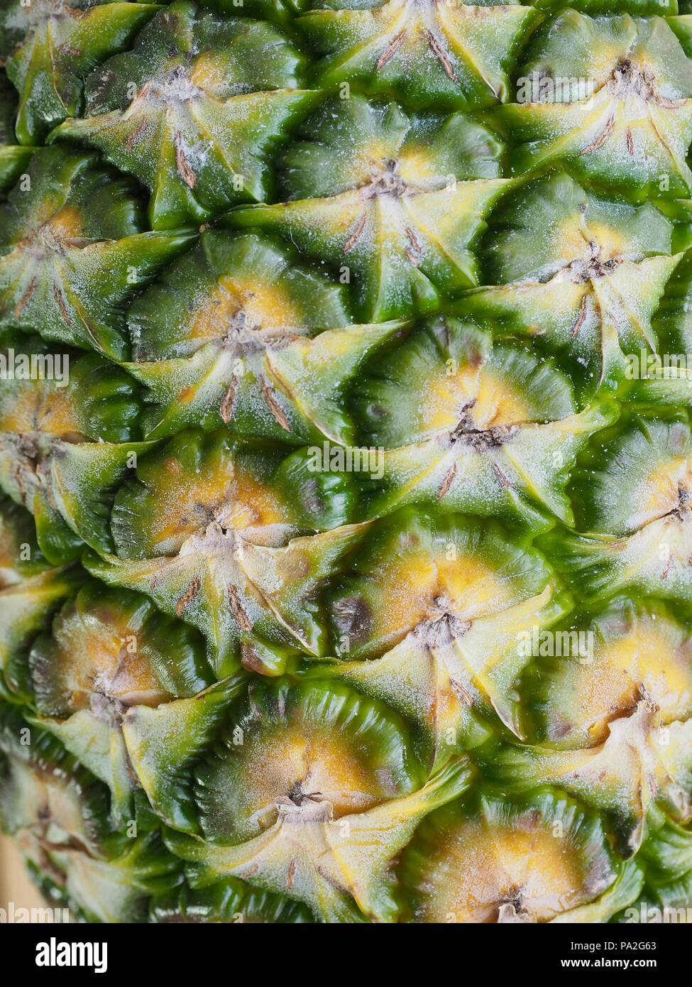 Fresh tropical fruit pineapple Stock Photo - Alamy