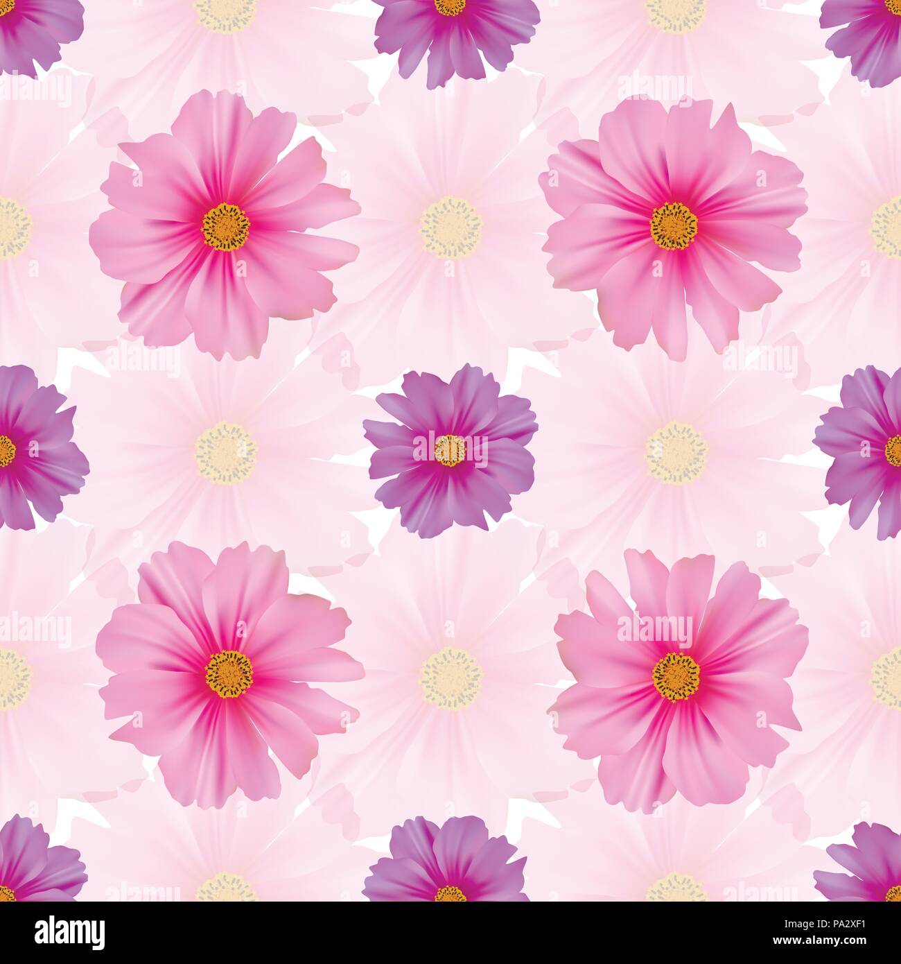 Seamless pattern with cosmos flower Stock Vector