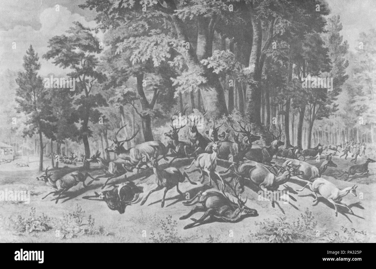 25 18th Century Royal hunts on Esterhazy estate on Gyulaj estate, South
