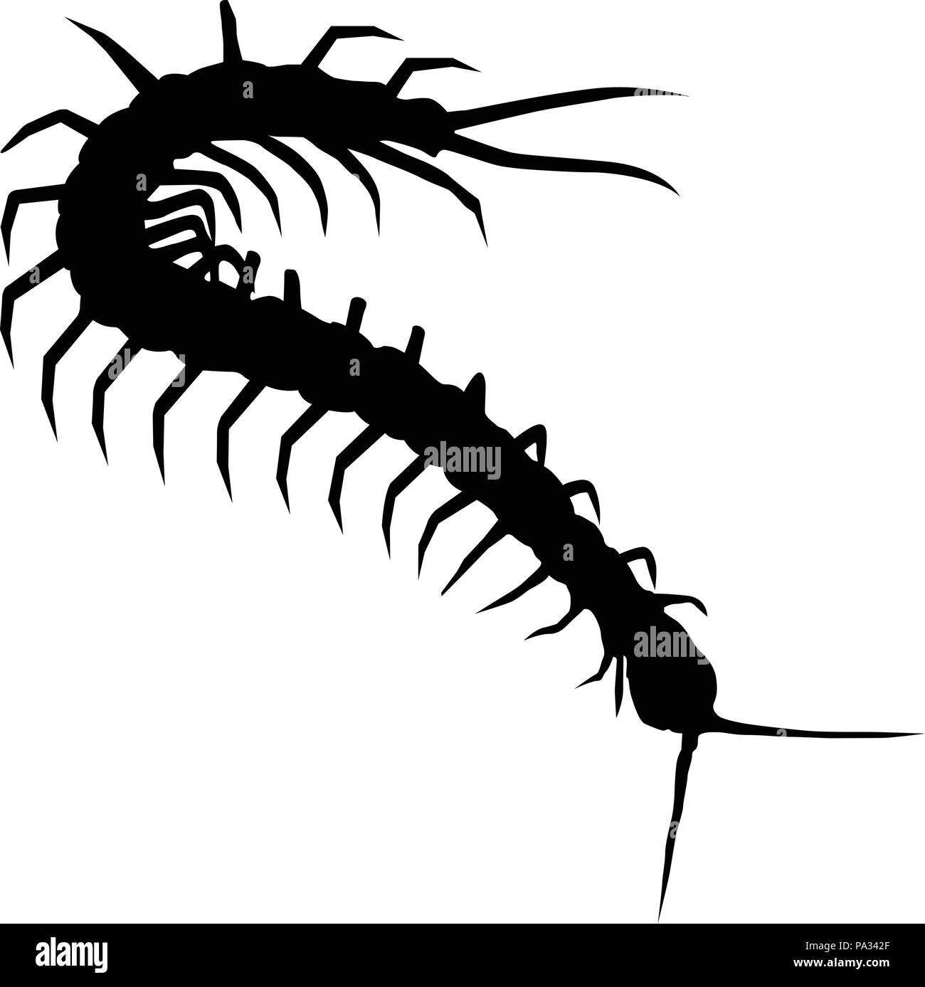 Silhouette of wriggling scolopendra - centipede outline Stock Vector