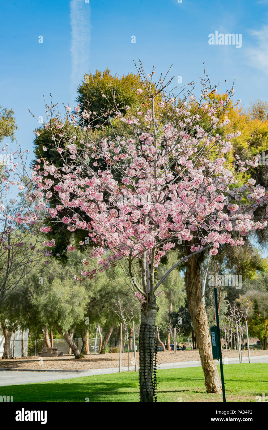 Rowland heights park hires stock photography and images Alamy