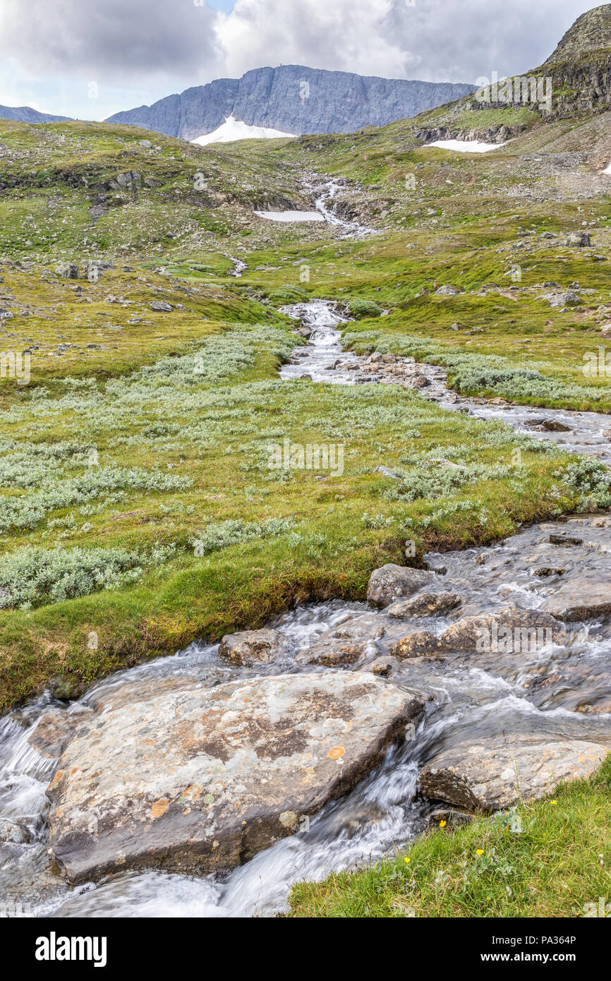 Mountain stream in a wild landscape Stock Photo