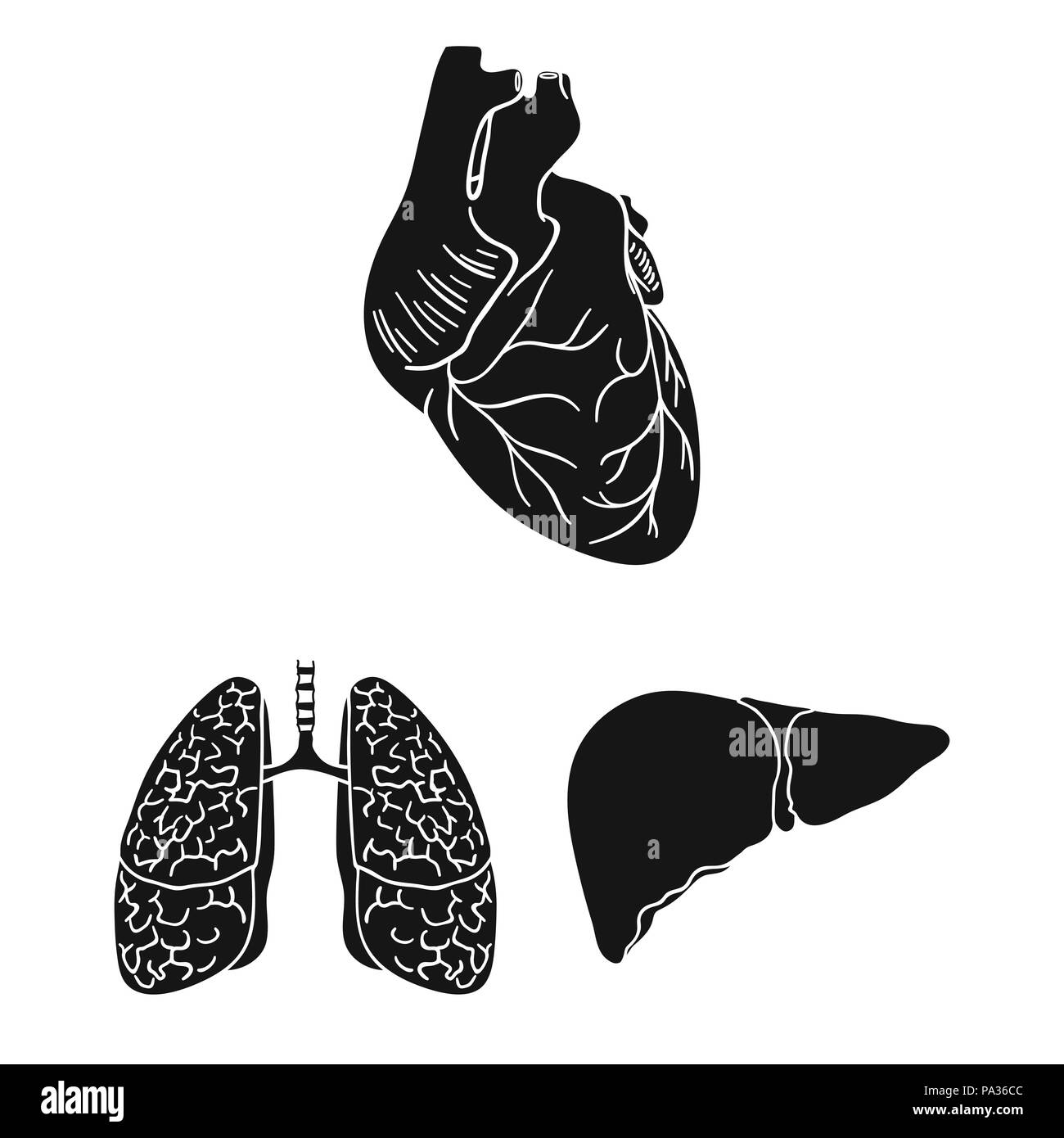 Human organs black icons in set collection for design. Anatomy and ...