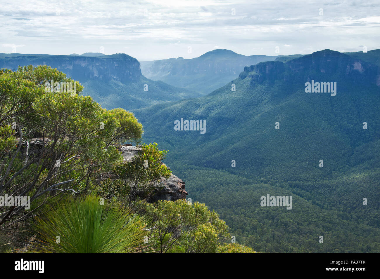 Grose valley blue mountains hi-res stock photography and images - Alamy