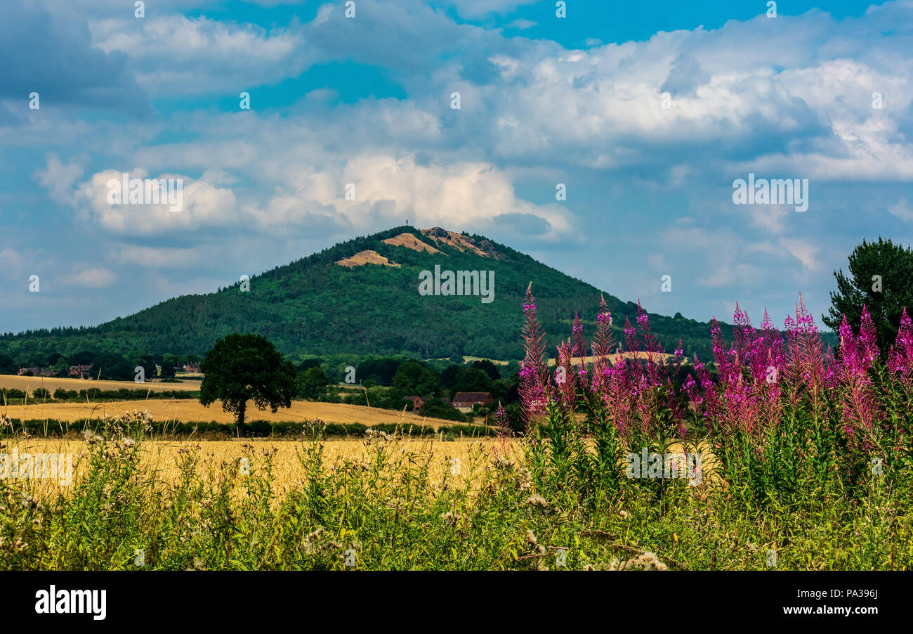 View looking across to The Wrekin from the outskirts of Cressage Stock Photo