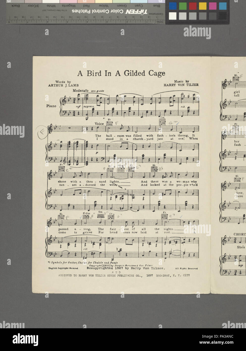 Bird in gilded cage hires stock photography and images Alamy