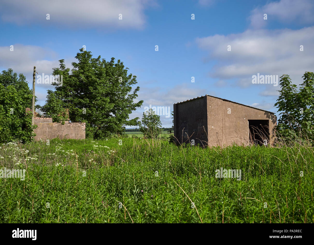 Two Technical Buildings hidden in the undergrowth on the edge of Stracathro Airfield on a Summers morning in Angus, Scotland. Stock Photo