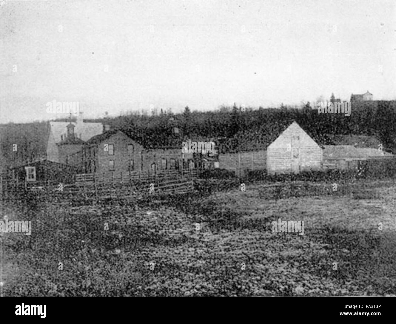 687 GallagherHull Meat Plant 1903 Stock Photo Alamy