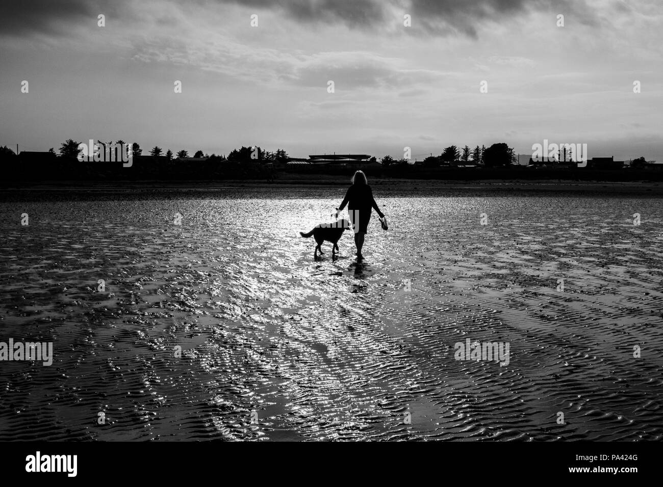 lady walking dog at sun set on beach Stock Photo