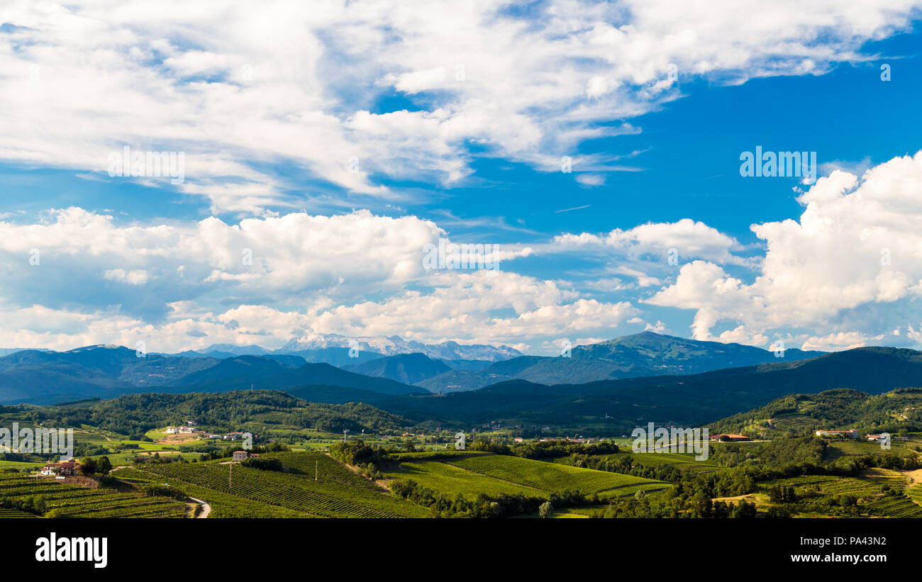 Slovenia italian border vineyard hi-res stock photography and images ...