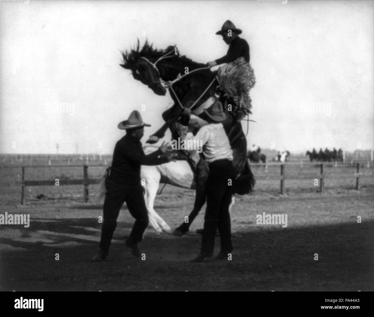 253 Bucking bronco. Cheyenne Frontier Days cph.3b03106 Stock Photo Alamy