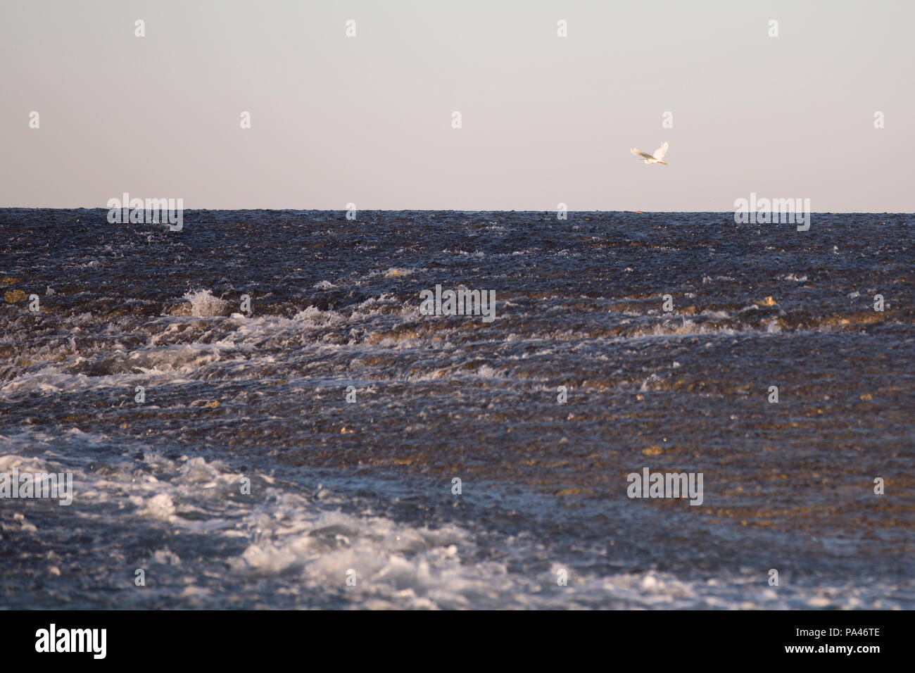 Montgomery Reef - The Kimberley Stock Photo