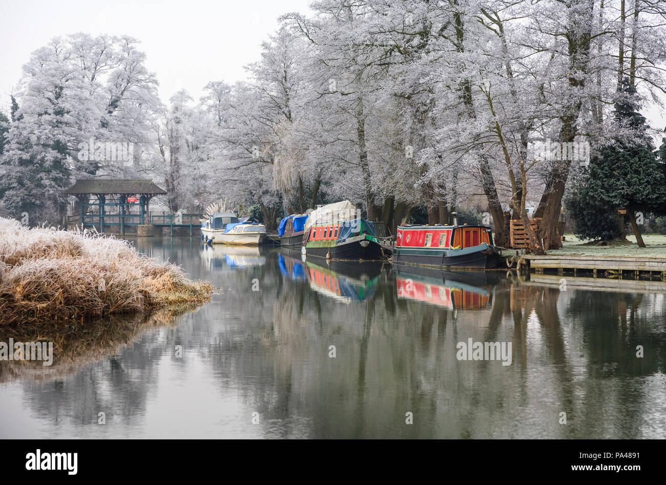 Rural Surrey landscape, southeast England, River Wey with moored narrowboats near Pyrford after