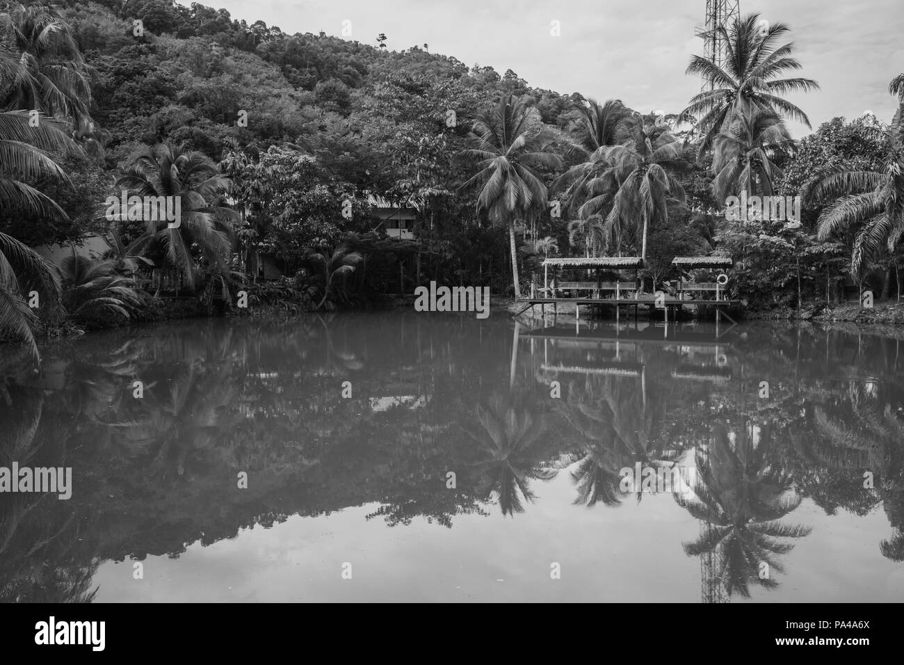 Lake Reflection in the Phuket, Thailand. Surface of lakes like a mirror reflect the image above, double image of landscape. Stock Photo