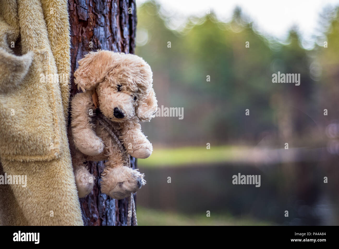 Lost teddy bear alone in the forest Stock Photo - Alamy