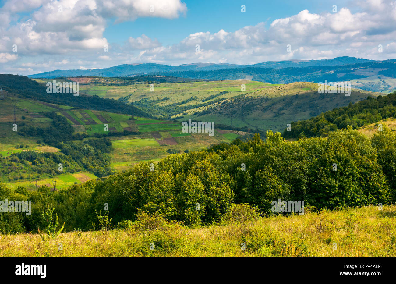 landscape with fields and  forest on hillside. lovely foggy sunrise in mountains Stock Photo