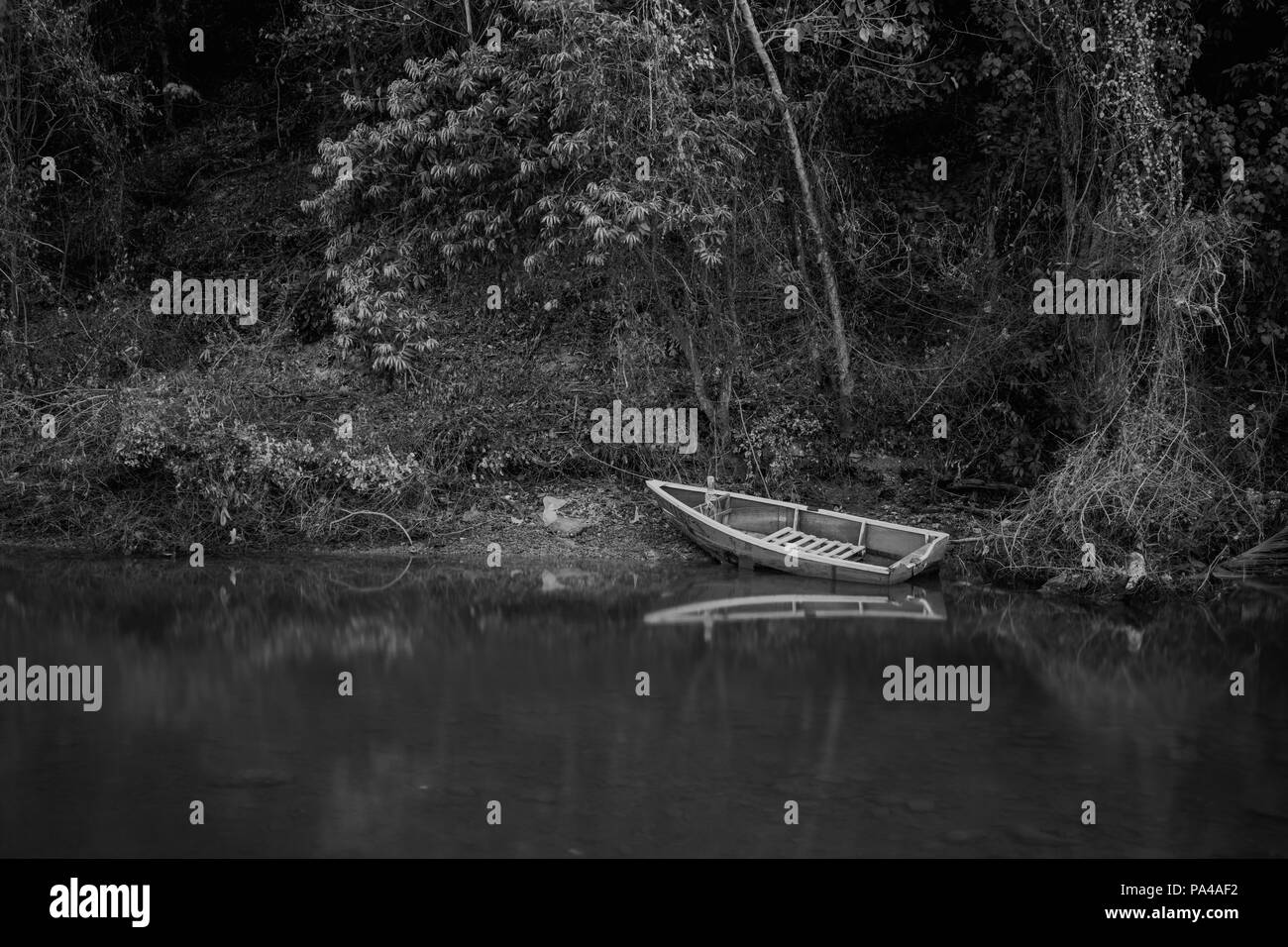 Lake Reflection in the Phuket, Thailand. Surface of lakes like a mirror reflect the image above, double image of landscape. Stock Photo