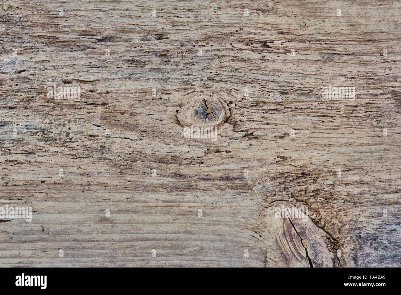 A full frame close up of a piece of old pine that has knots and wood worm with the grain running horizontally Stock Photo