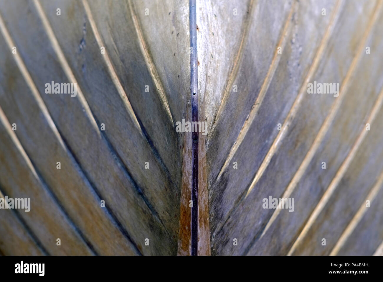 Detail of an old wooden boat hull Stock Photo