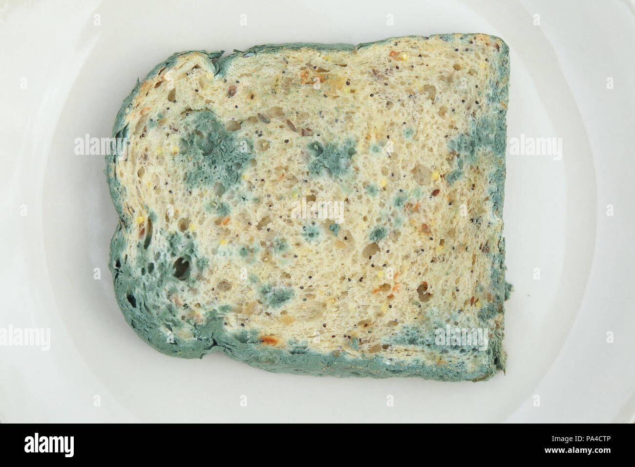 Old mouldy bread on a white plate Stock Photo