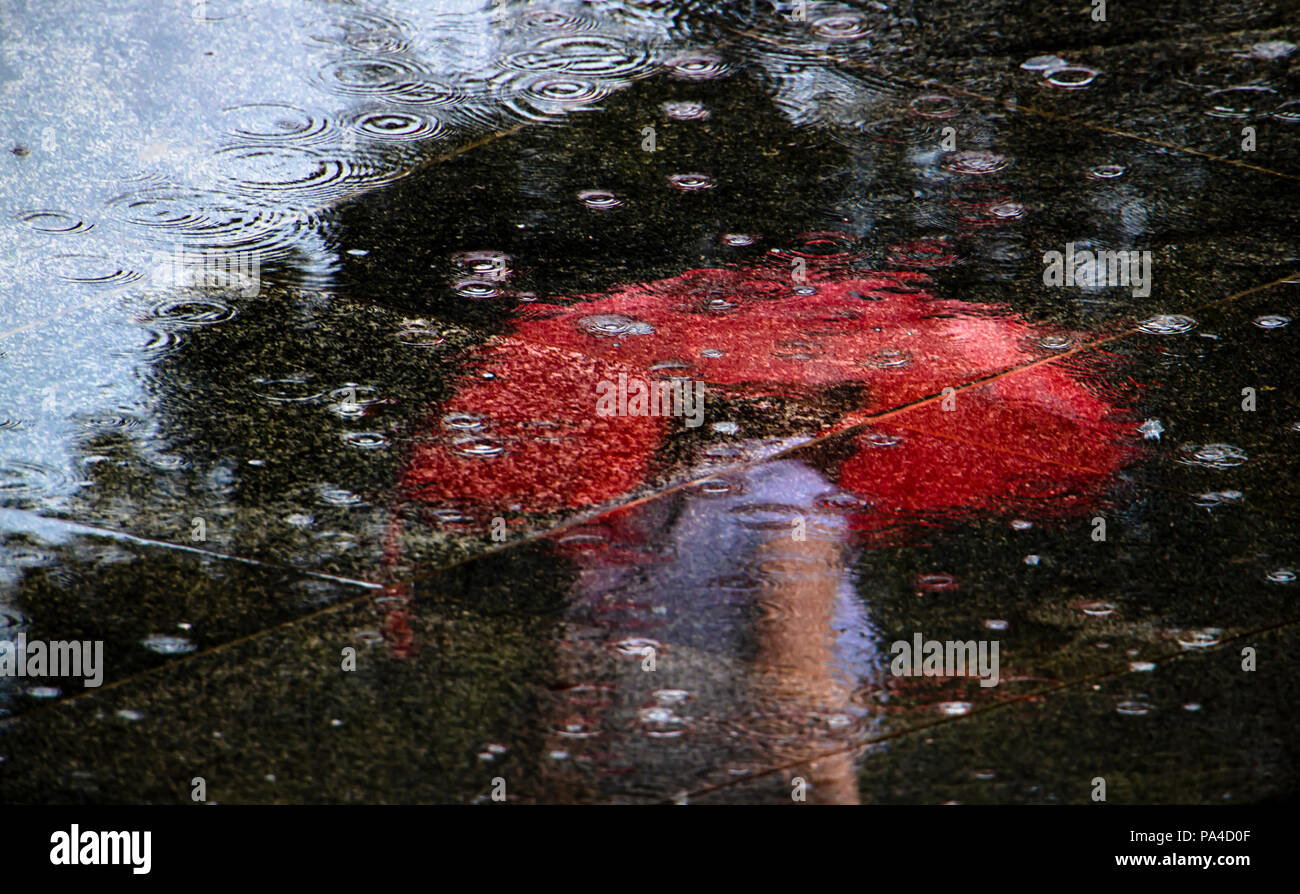 Blurry reflection silhouette of a woman walking alone under red umbrellas , low angle view, in the puddle on a rainy spring day Stock Photo
