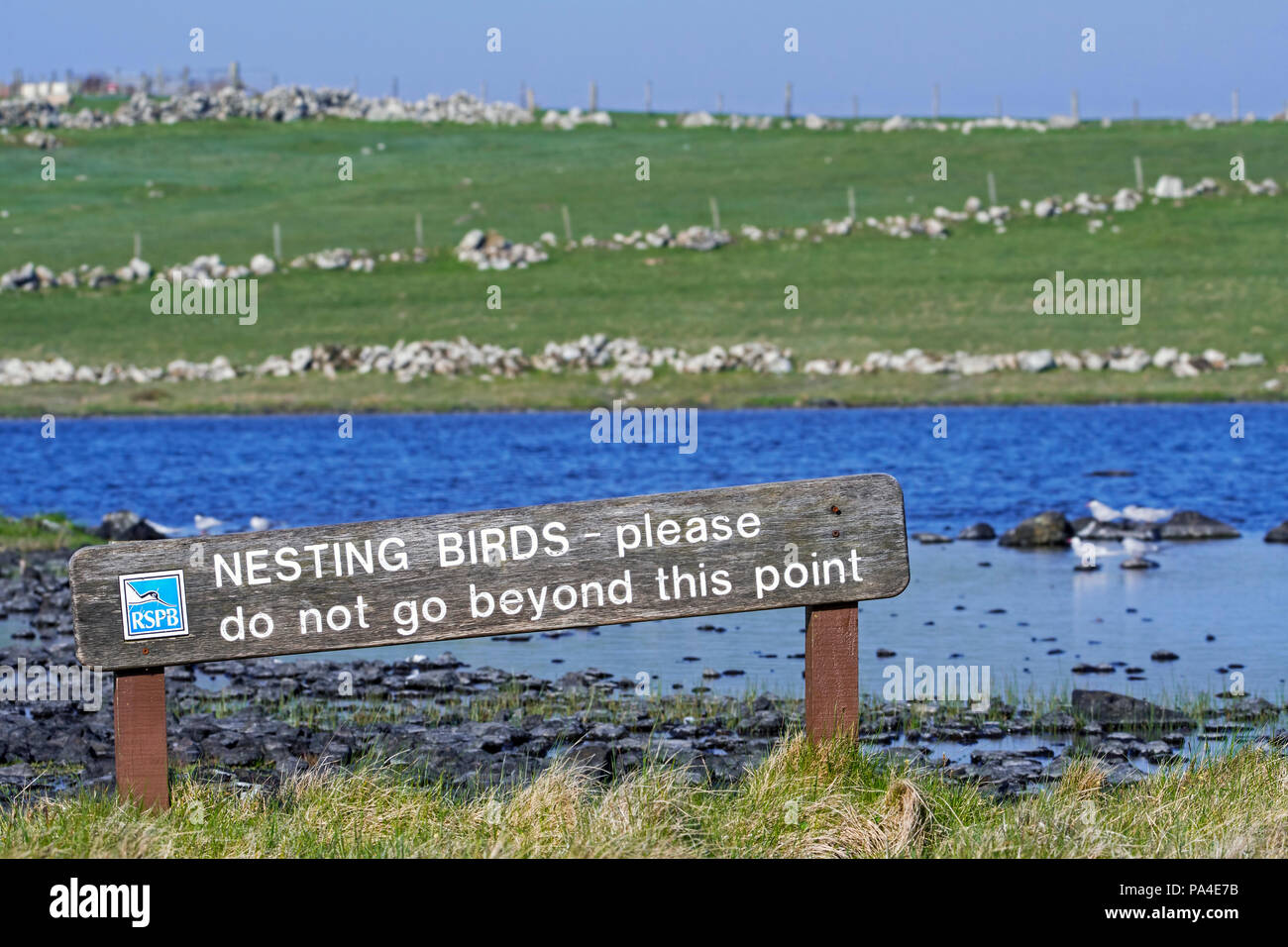 RSPB sign warning for nesting birds at breeding colony of Arctic terns along the shoreline of Loch of Funzie on the island Fetlar, Shetland, Scotland Stock Photo