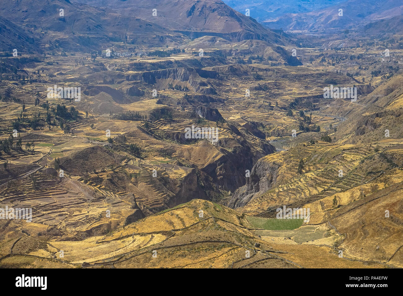 Colca Canyon, Peru Stock Photo