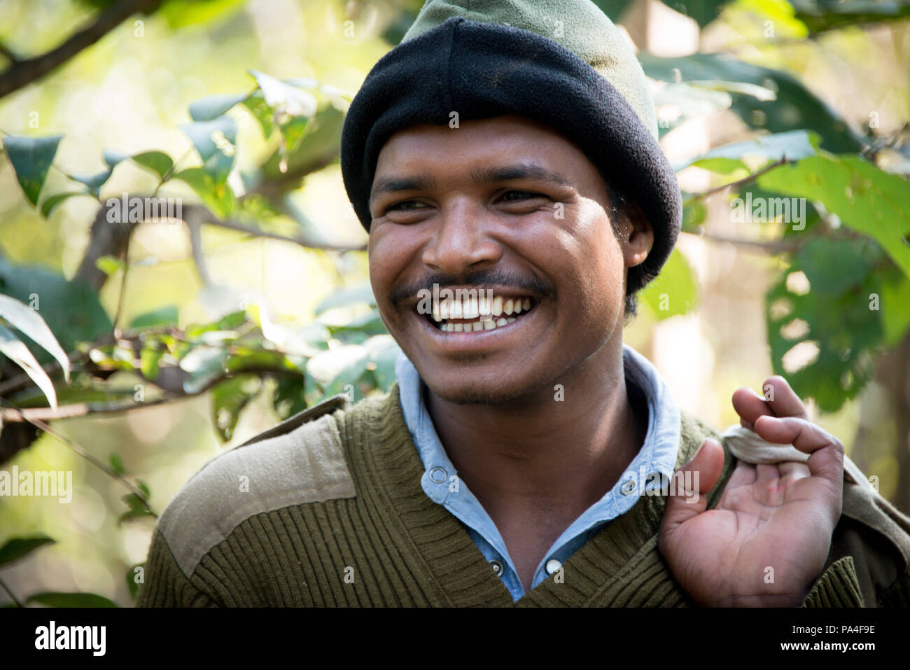 Bandhavgarh National Park, India Stock Photo Alamy