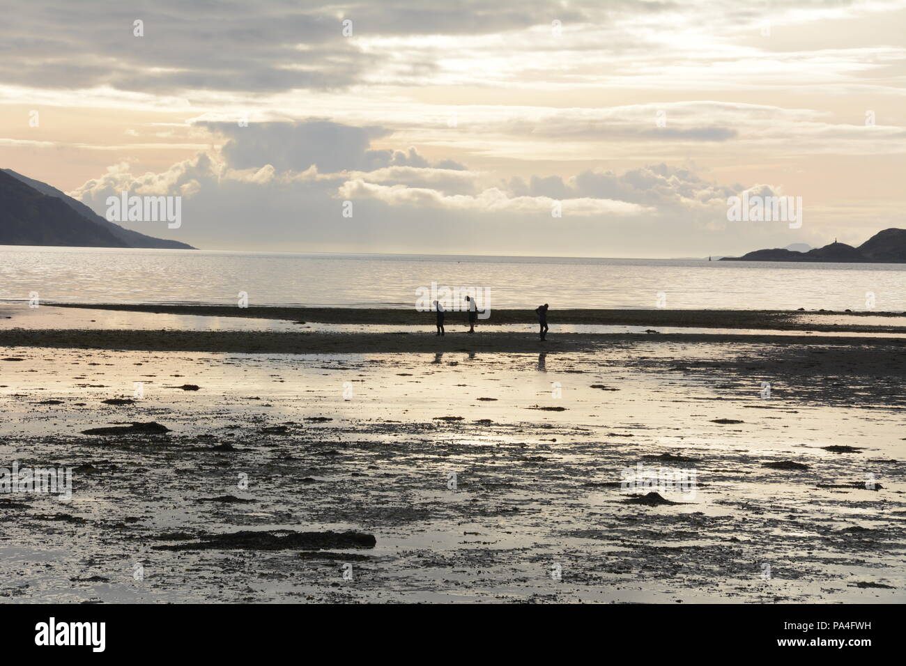 Three people beachcombing in the intertidal zone of the Atlantic Ocean at sunset in the town of Inverie, Knoydart Peninsula, Scotland, United KIngdom. Stock Photo