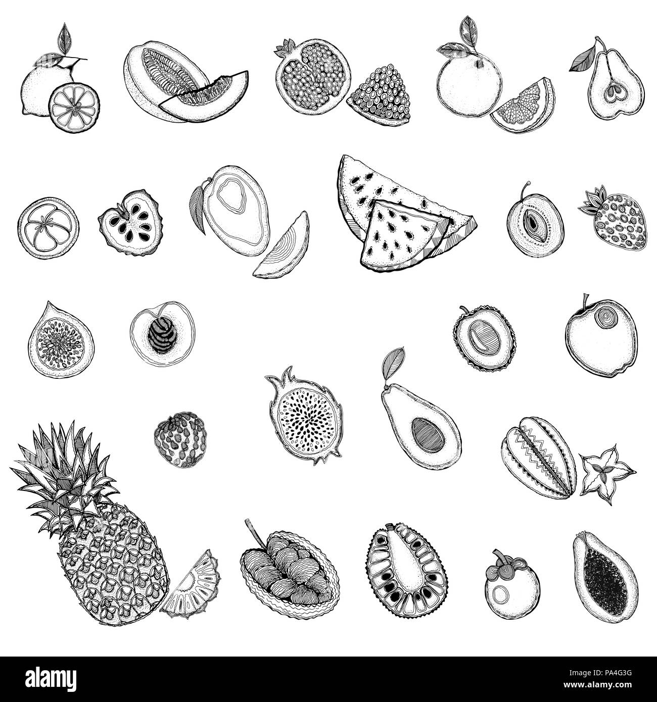 Set of hand drawn sketch style exotic fruits isolated on white
