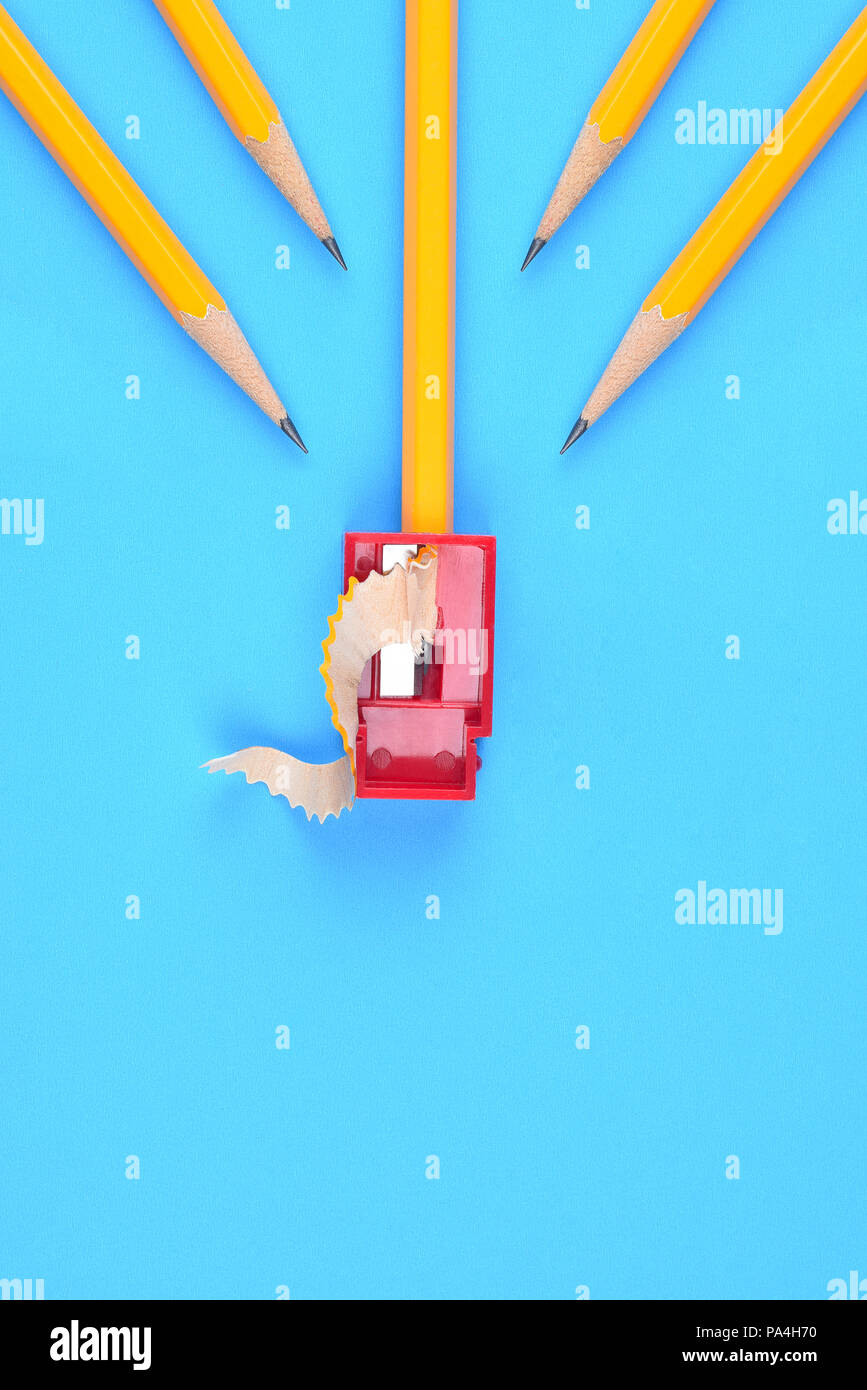 Back to School Concept: Four Yellow Pencils pointing to a sharpener and shavings, on a blue background. Copy space at bottom. Stock Photo