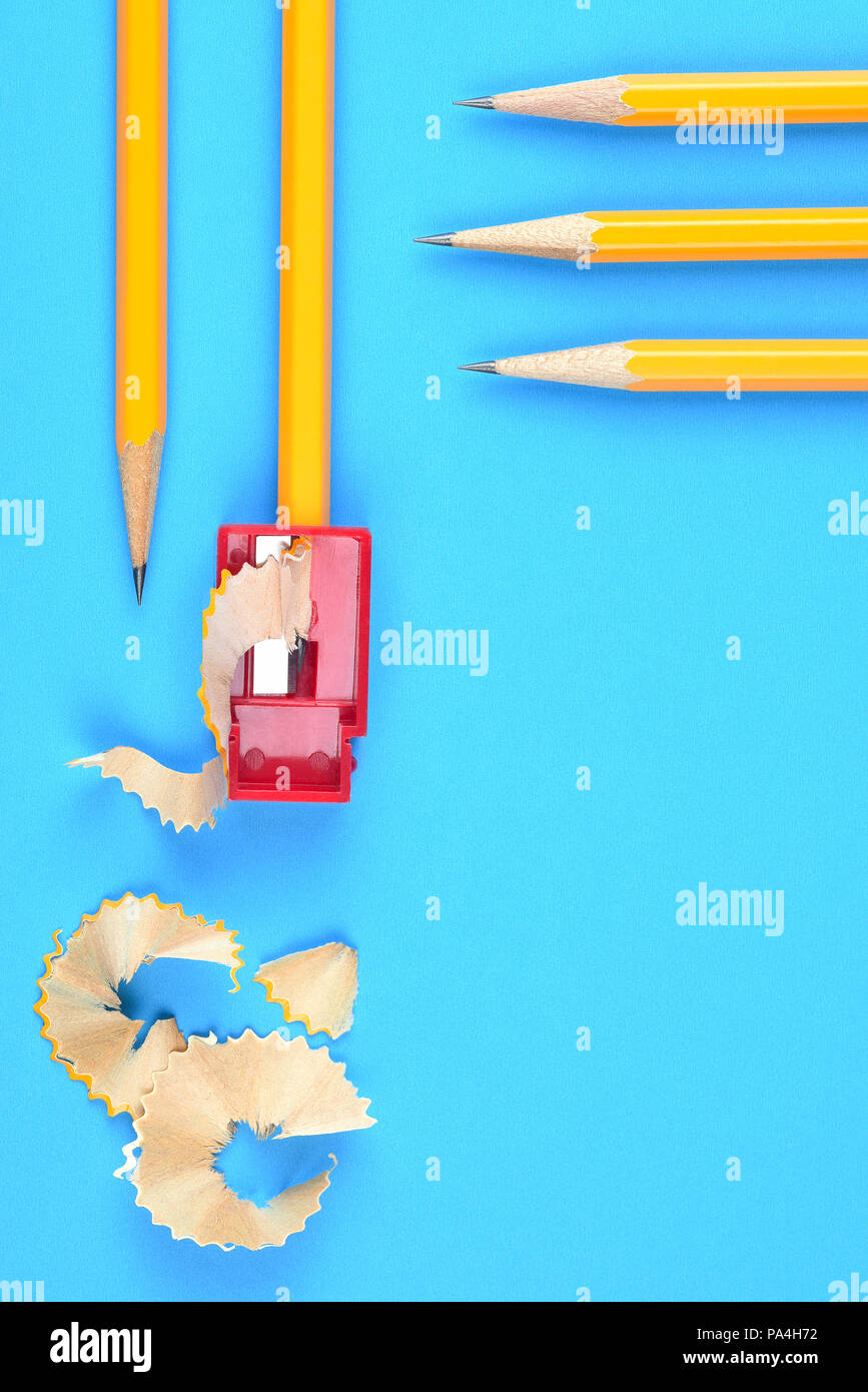 Back to School Concept: Five Yellow Pencils with a sharpener and shavings, on a blue background. Three pencils coming into the frame from the top righ Stock Photo