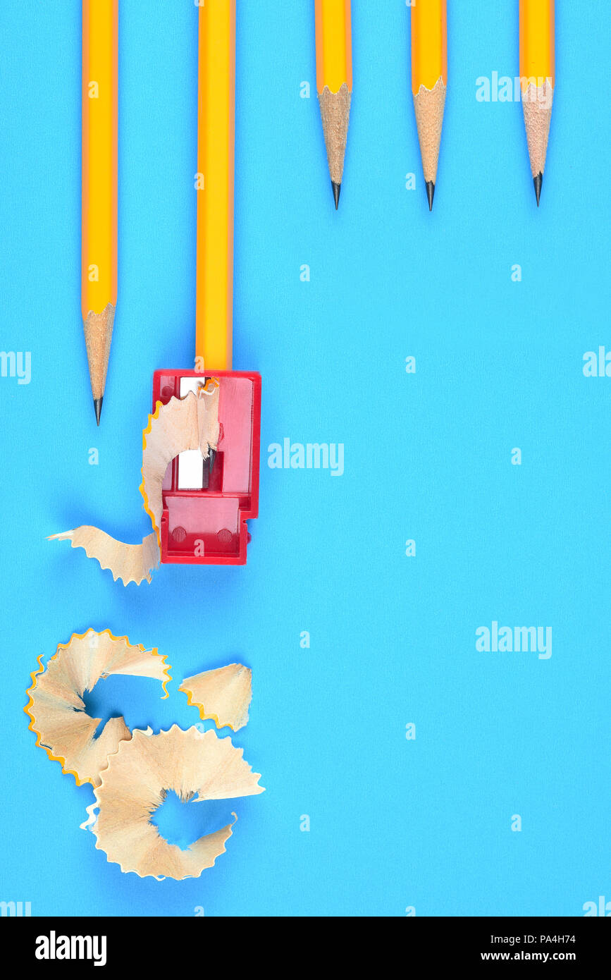 Back to School Concept: Five Yellow Pencils with a sharpener and shavings, on a blue background. Three sharpened pencils partially into frame at the t Stock Photo