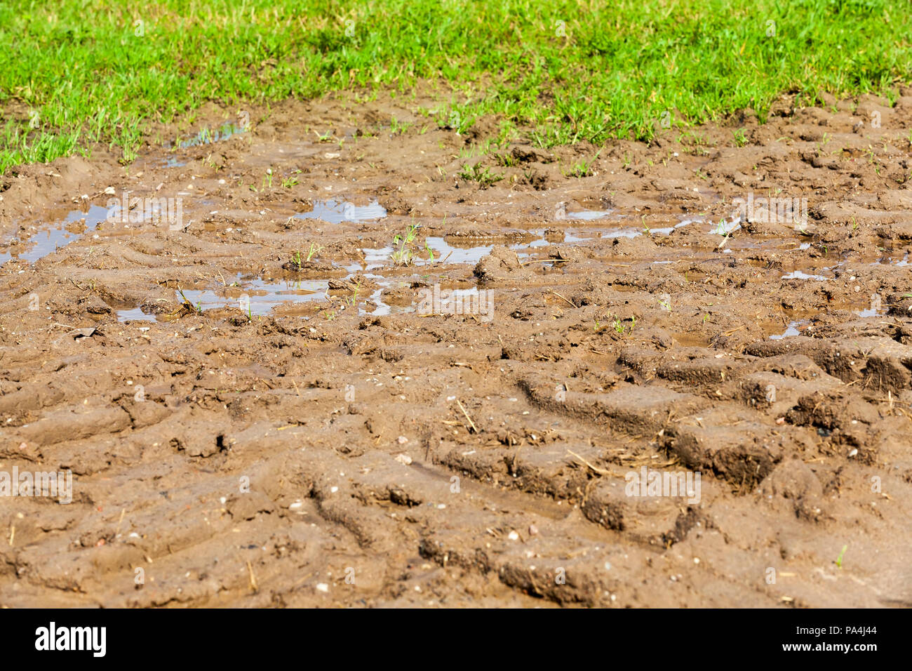 dirt and wet soil on an agricultural field with grass, there are