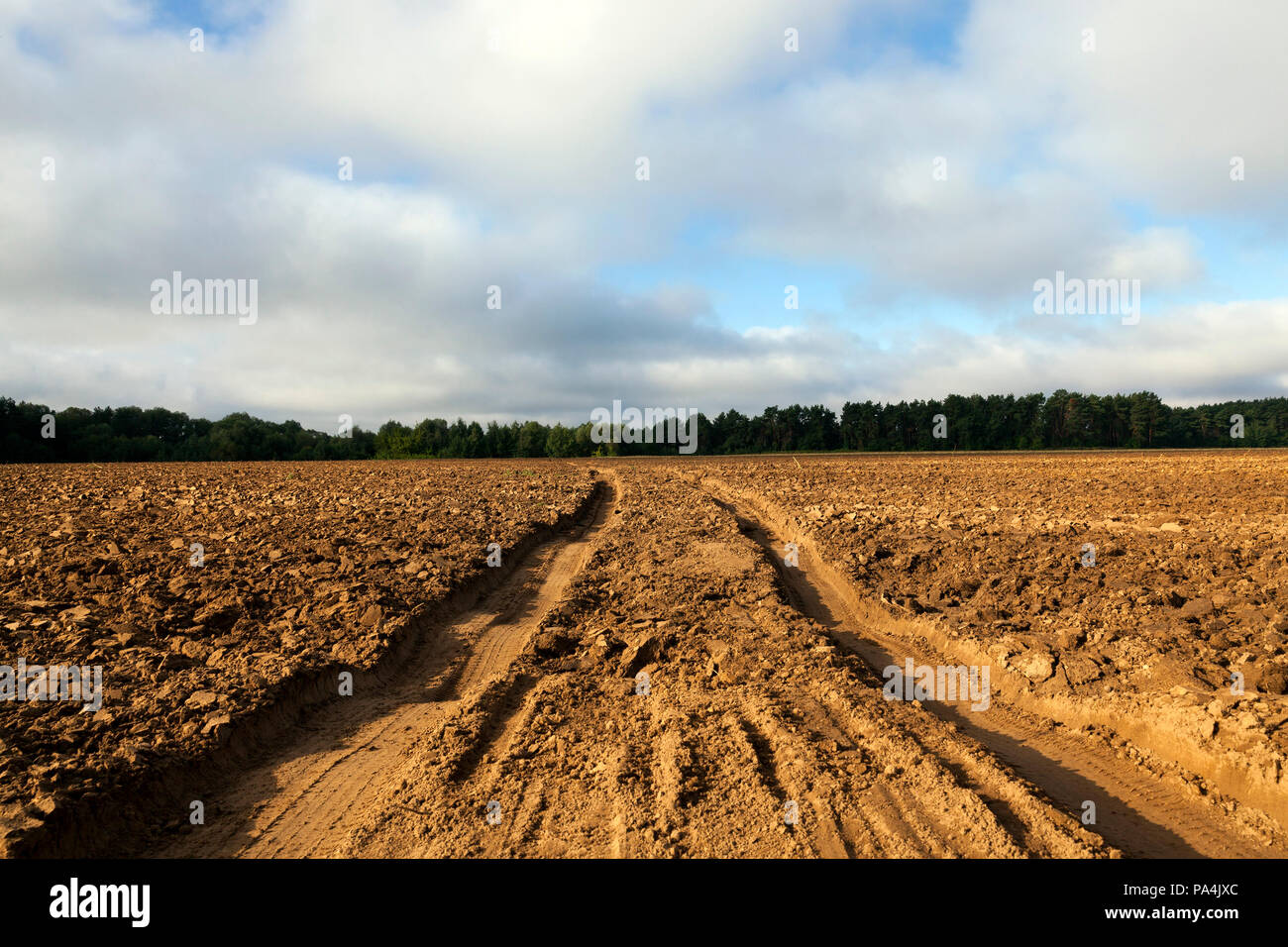 plowed field agricultural on which the transport passed and there were traces and ruts, landscape Stock Photo