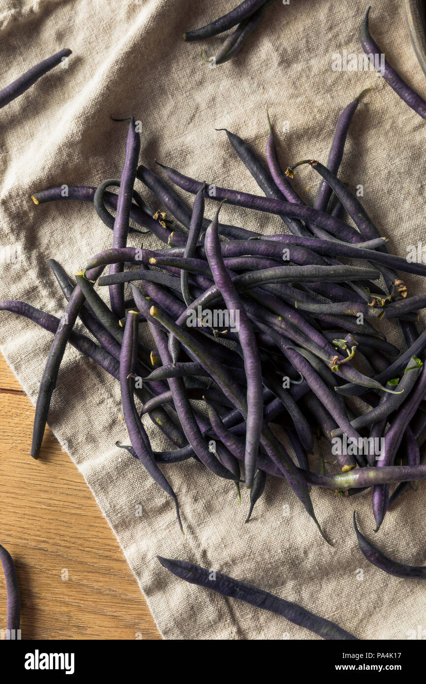 Raw Purple Organic String Beans Ready to Cook Stock Photo