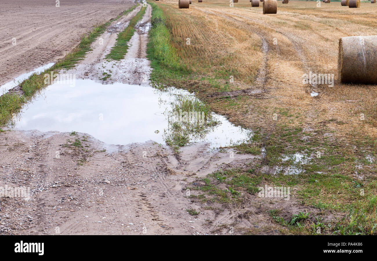 a bad rural road with pits and puddles on the field, on the right are ...