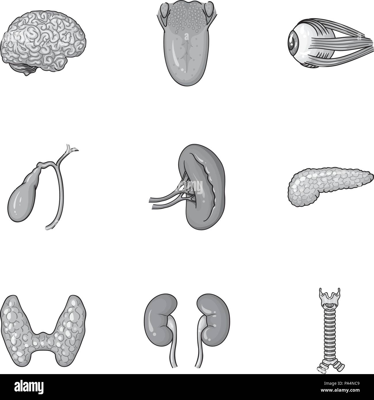 Human organs set icons in monochrome design. Big collection of human ...
