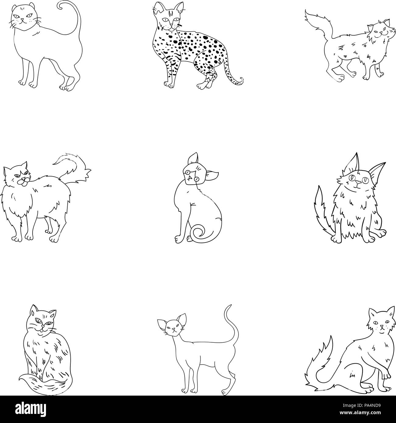 Collection of cats in one picture. Different cats in one picture. Cat breeds icon in set collection on outline style vector symbol stock web illustrat Stock Vector