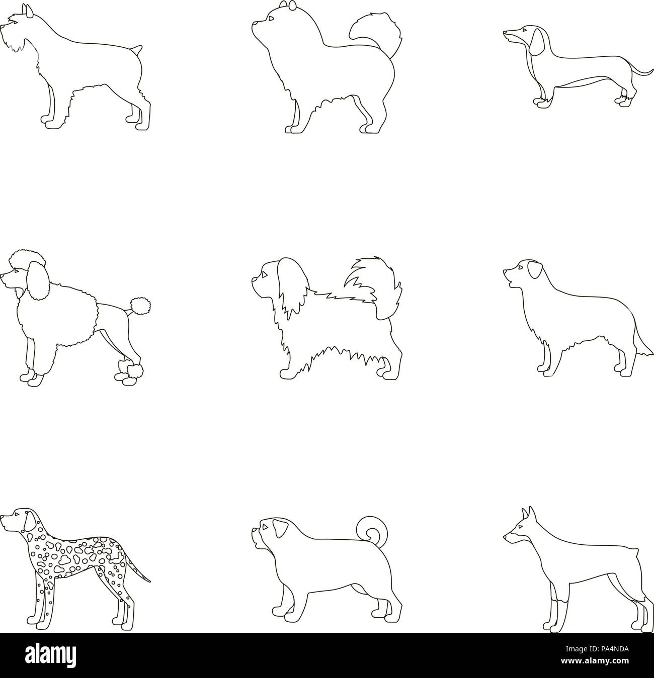 Dog breeds set icons in outline style. Big collection of dog breeds vector symbol stock Stock Vector