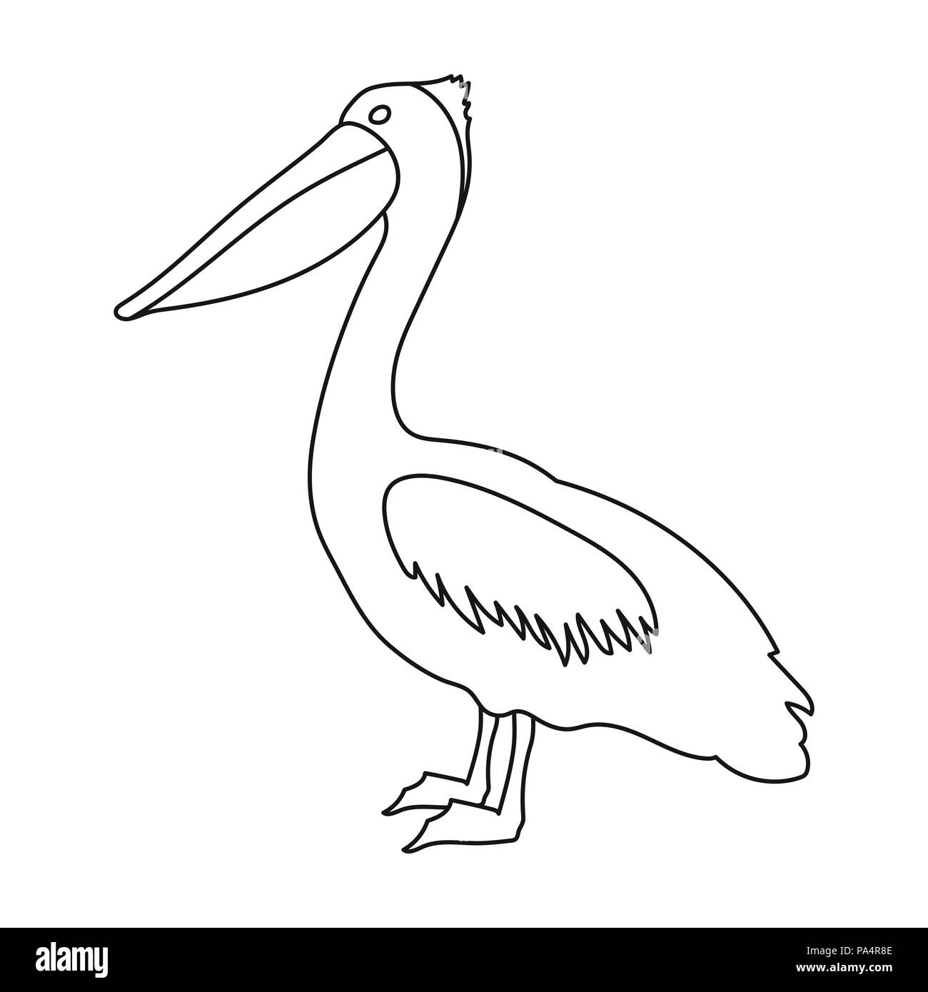 Голова пеликана с открытым клювом рисунок