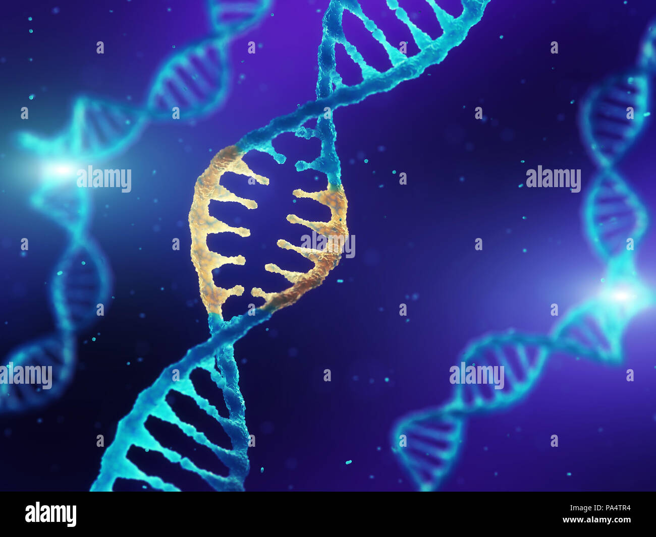 Double helix DNA molecule with modified genes,Correcting mutation by genetic engineering Stock Photo