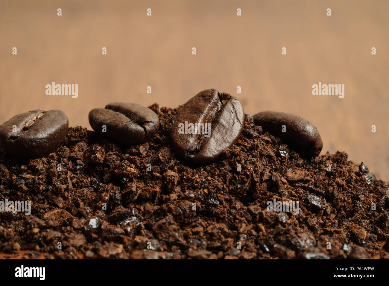 Freshly ground Arabica coffee and beans Stock Photo