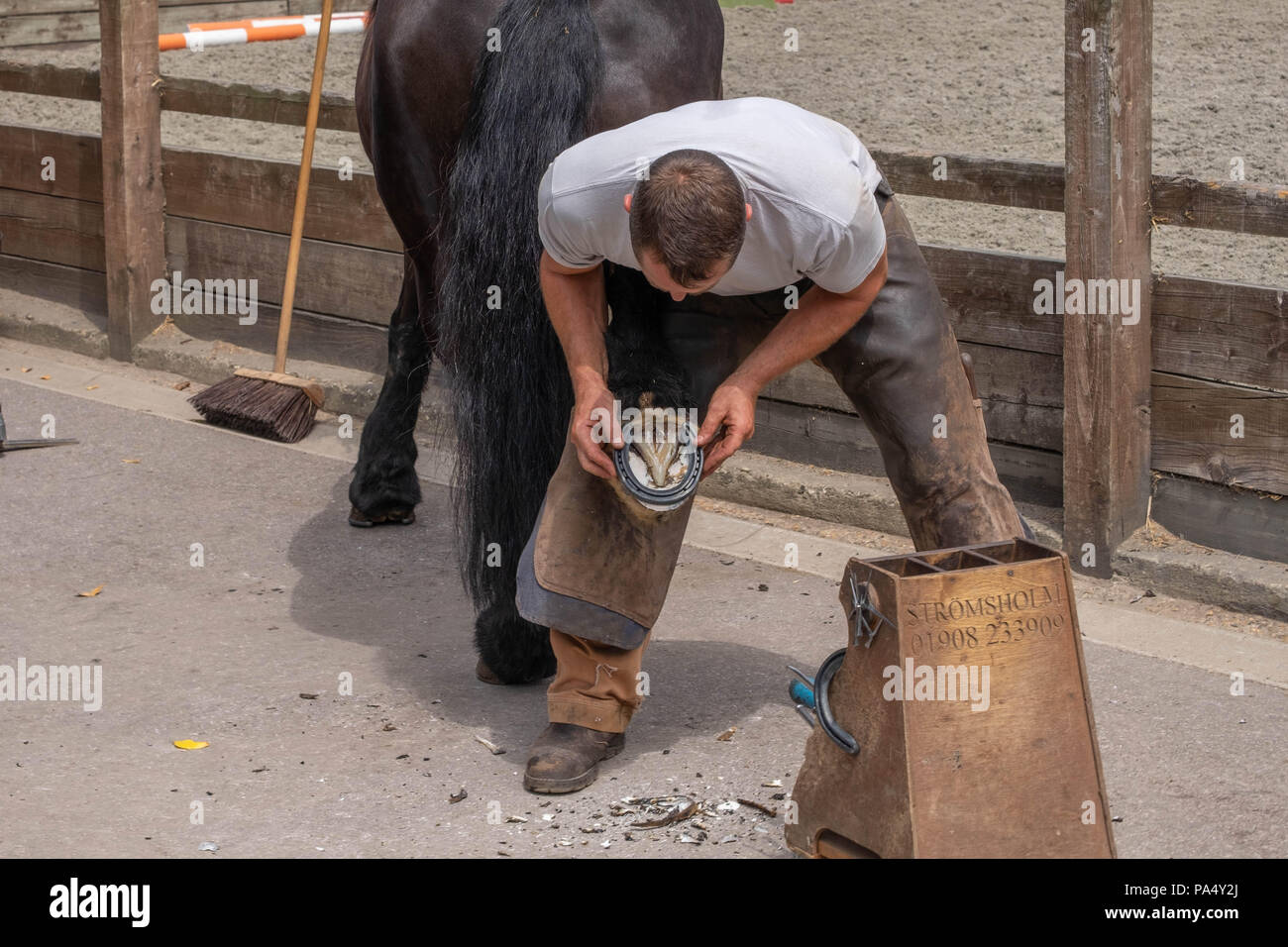 farrier trimming horses hoof Stock Photo Alamy