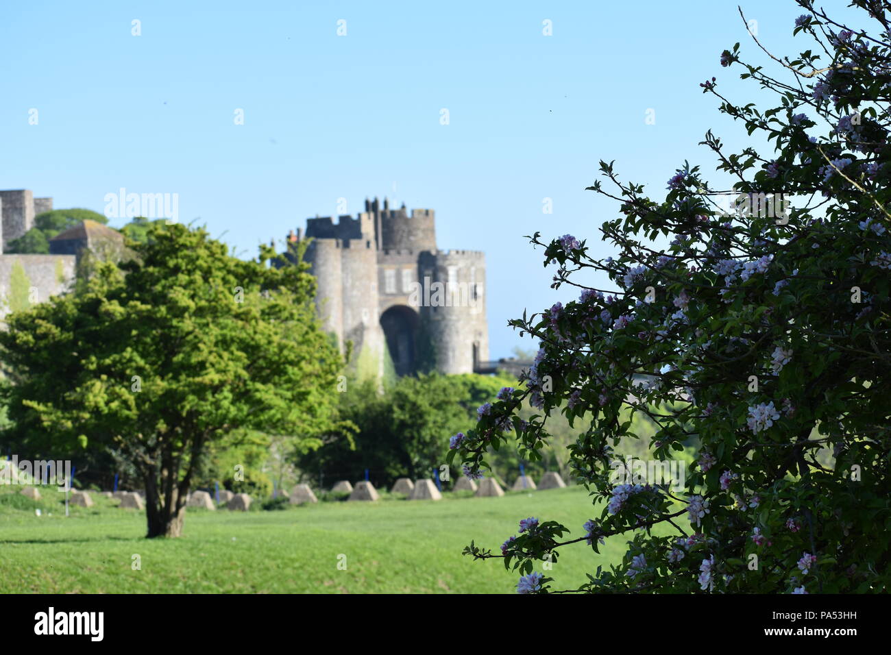 Dover Castle and the nature Stock Photo
