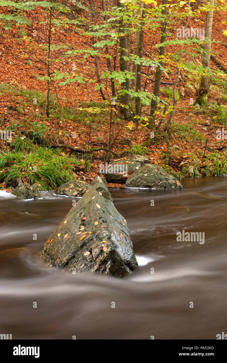 Rock in the Ninglinspo river Stock Photo